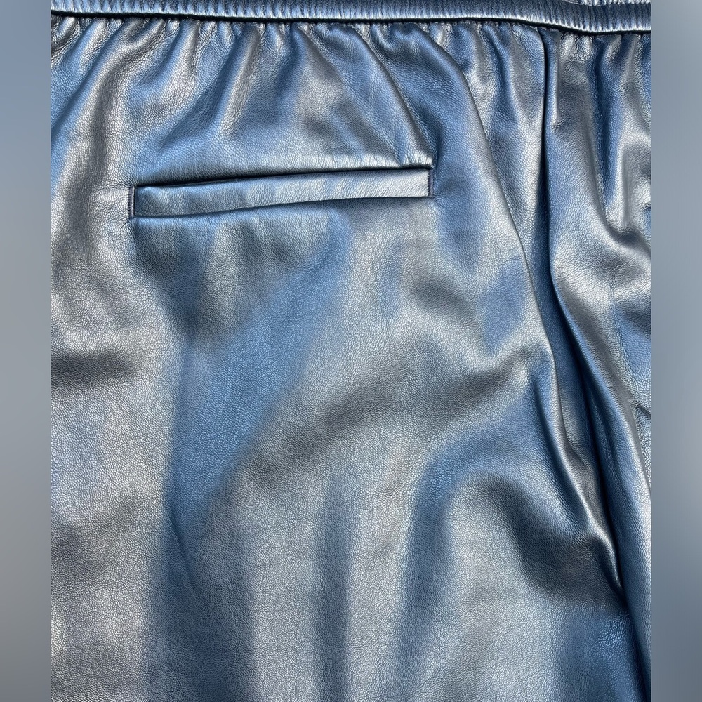 🖤🔥NWT Ann Taylor LOFT size 16P faux leather pants.  Perfect for Fall. Stylish! - Picture 4 of 8